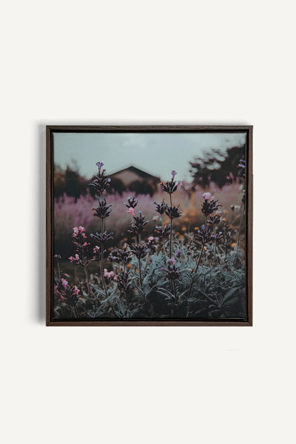 OLEKA CANVAS - SOUFFLE LAVANDE, Oeuvre sur toile étirée, encadré Brun Noyer