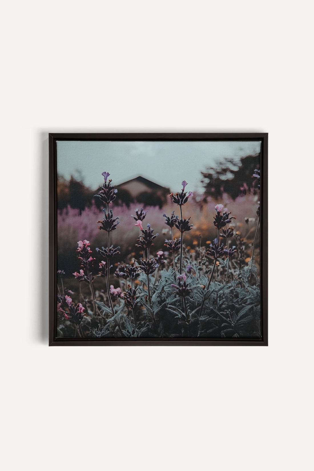 SOUFFLE LAVANDE, Oeuvre sur toile étirée, encadré Noir