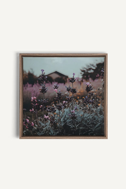 SOUFFLE LAVANDE, Artwork on stretched canvas, framed in Brown Oak