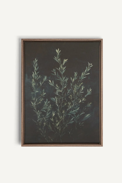 OLEKA CANVAS - SOUS-BOIS, Oeuvre sur toile étirée, encadré Brun Chêne