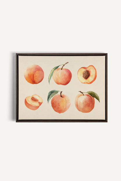 SUMMER PEACHES, Oeuvre sur toile étirée, encadré Brun Noyer