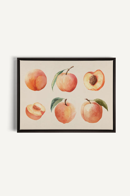 SUMMER PEACHES, Oeuvre sur toile étirée, encadré Noir