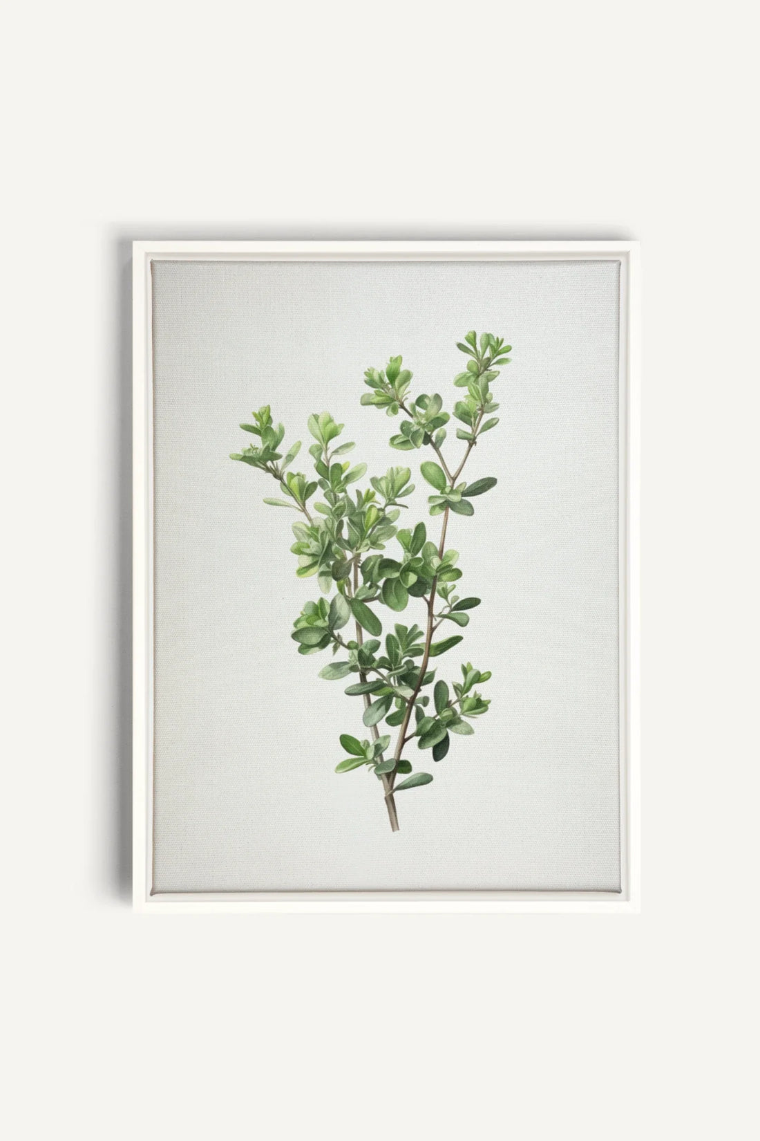 OLEKA CANVAS - THYMARIS, Oeuvre sur toile étirée, encadré Blanc