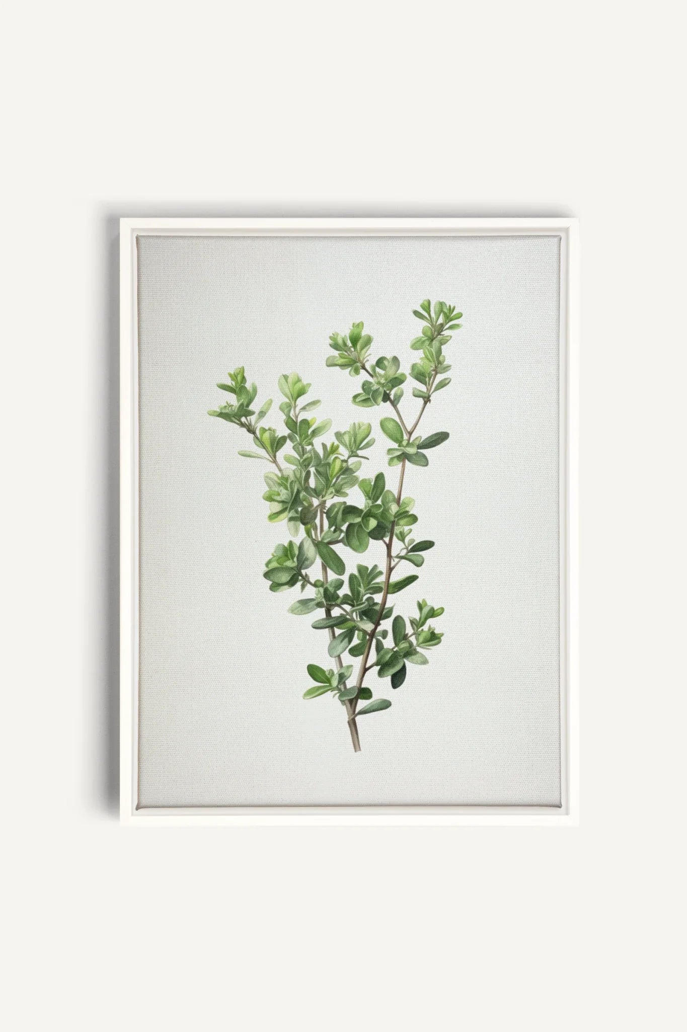 OLEKA CANVAS - THYMARIS, Oeuvre sur toile étirée, encadré Blanc