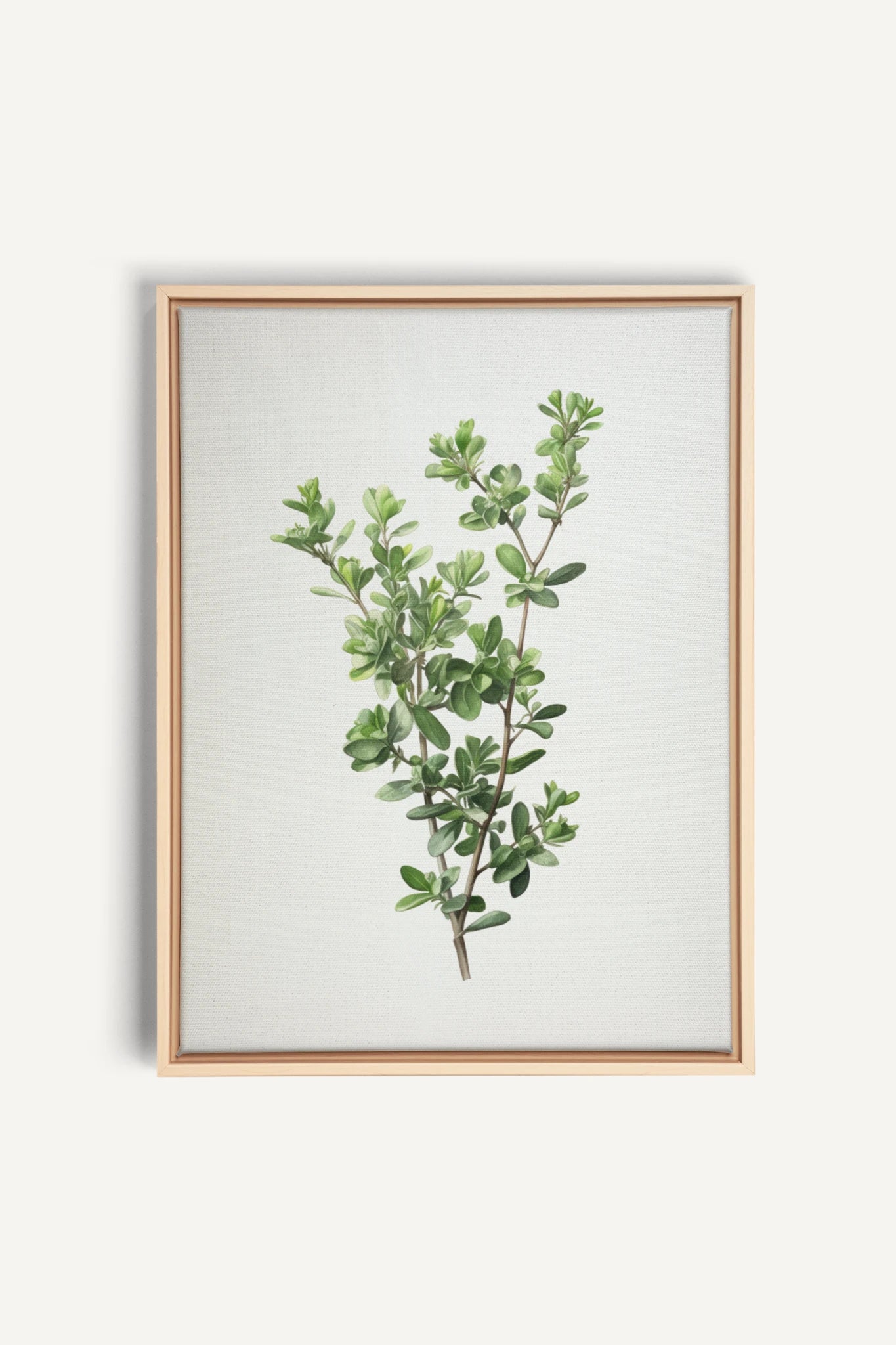 THYMARIS, Artwork on stretched canvas, framed Natural Light