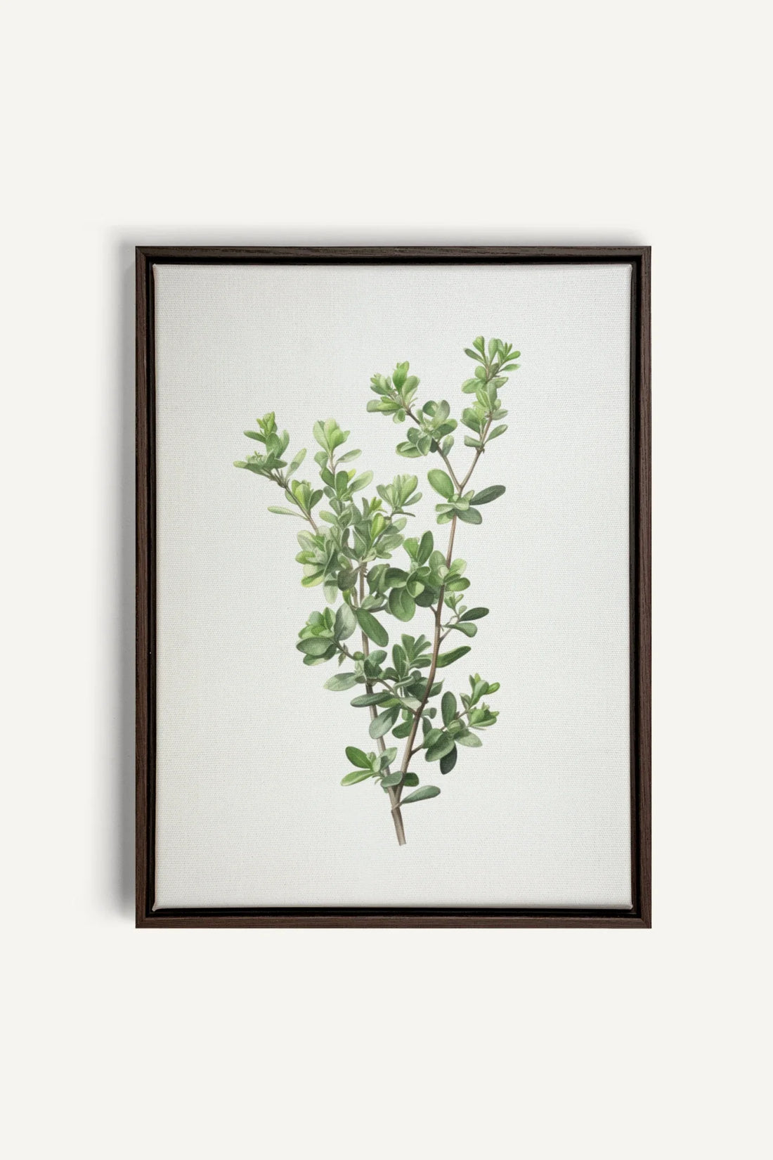 OLEKA CANVAS - THYMARIS, Oeuvre sur toile étirée, encadré Brun Noyer