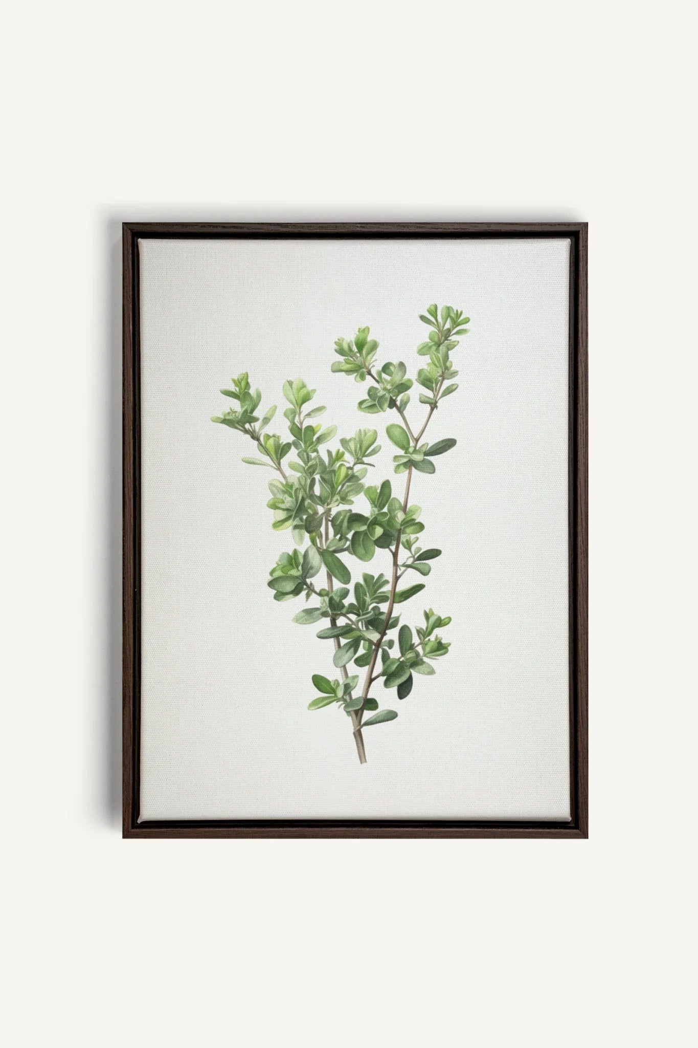 OLEKA CANVAS - THYMARIS, Oeuvre sur toile étirée, encadré Brun Noyer