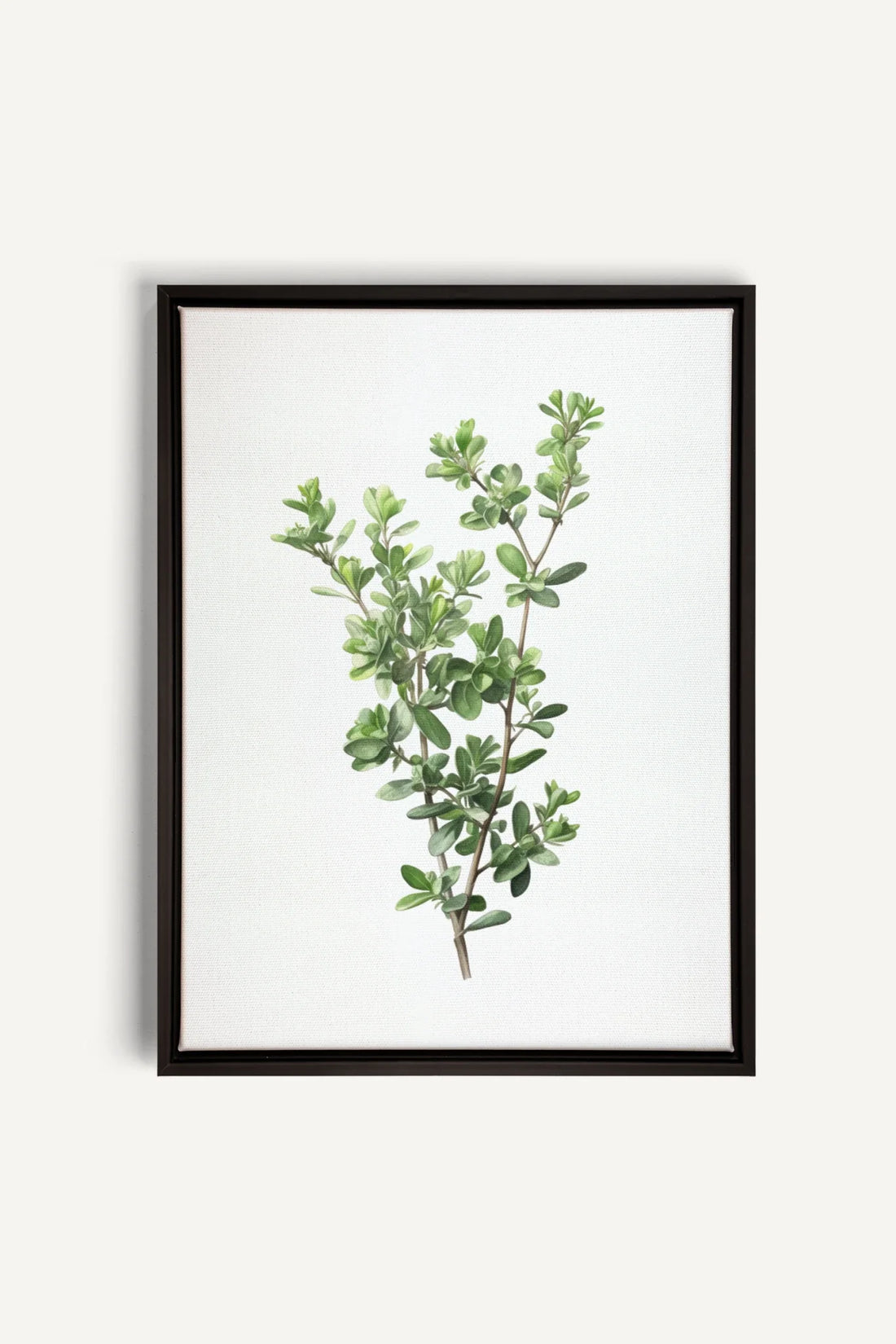 OLEKA CANVAS - THYMARIS, Oeuvre sur toile étirée, encadré Noir