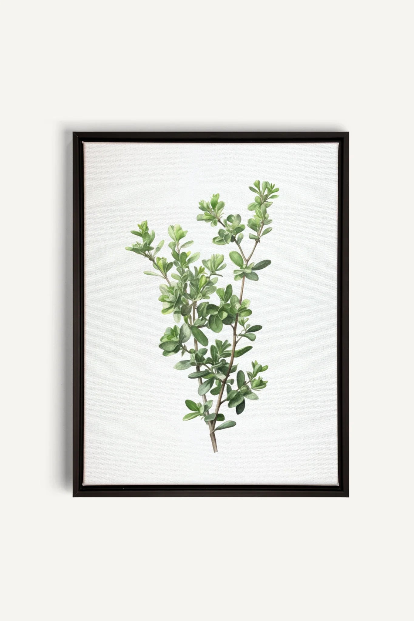 OLEKA CANVAS - THYMARIS, Oeuvre sur toile étirée, encadré Noir