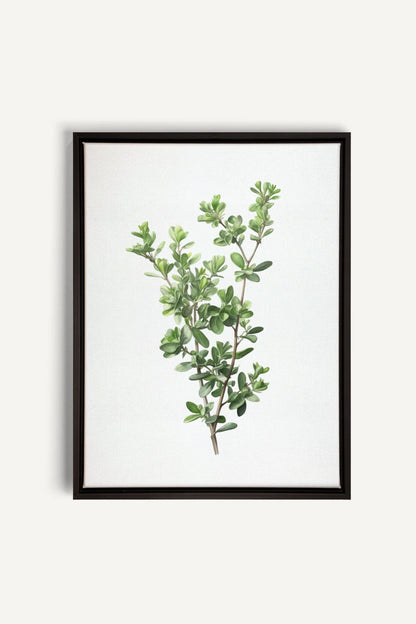 OLEKA CANVAS - THYMARIS, Oeuvre sur toile étirée, encadré Noir