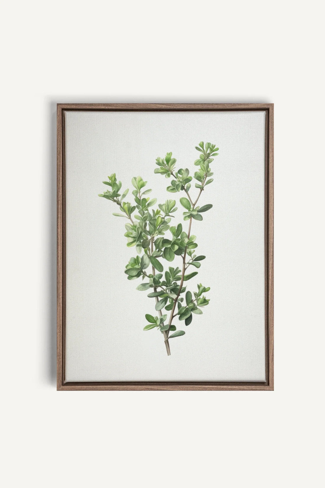 OLEKA CANVAS - THYMARIS, Oeuvre sur toile étirée, encadré Brun Chêne