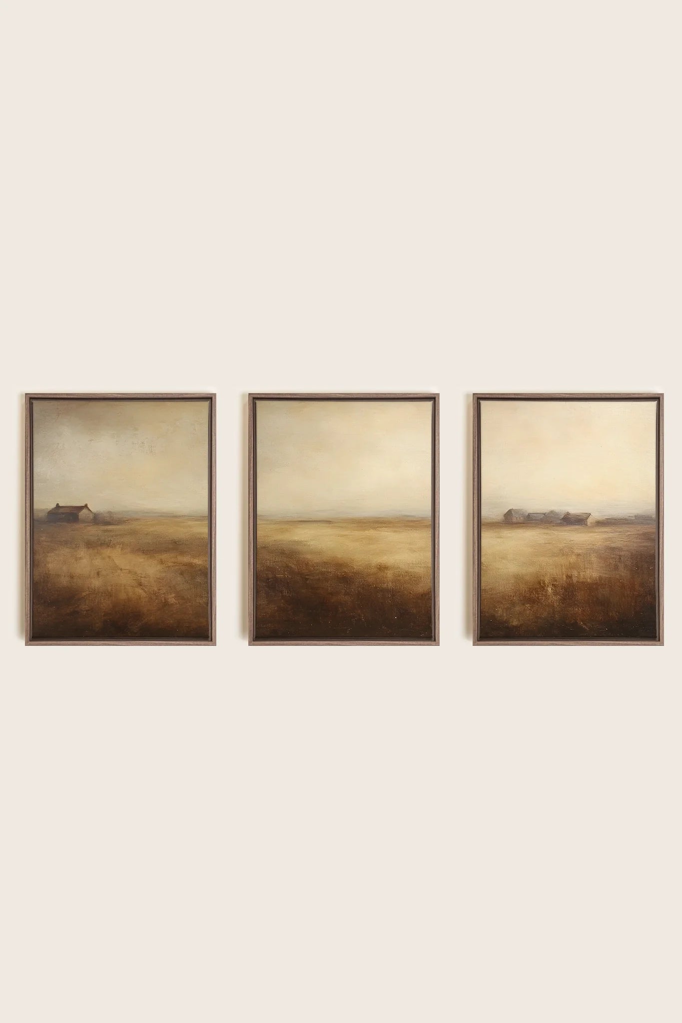 OLEKA CANVAS - TRIO D&