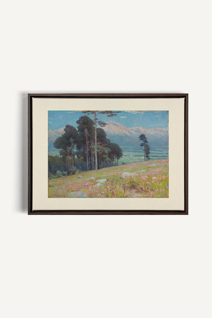 VALLÉE ROSE, Oeuvre sur toile étirée, encadré Brun Noyer