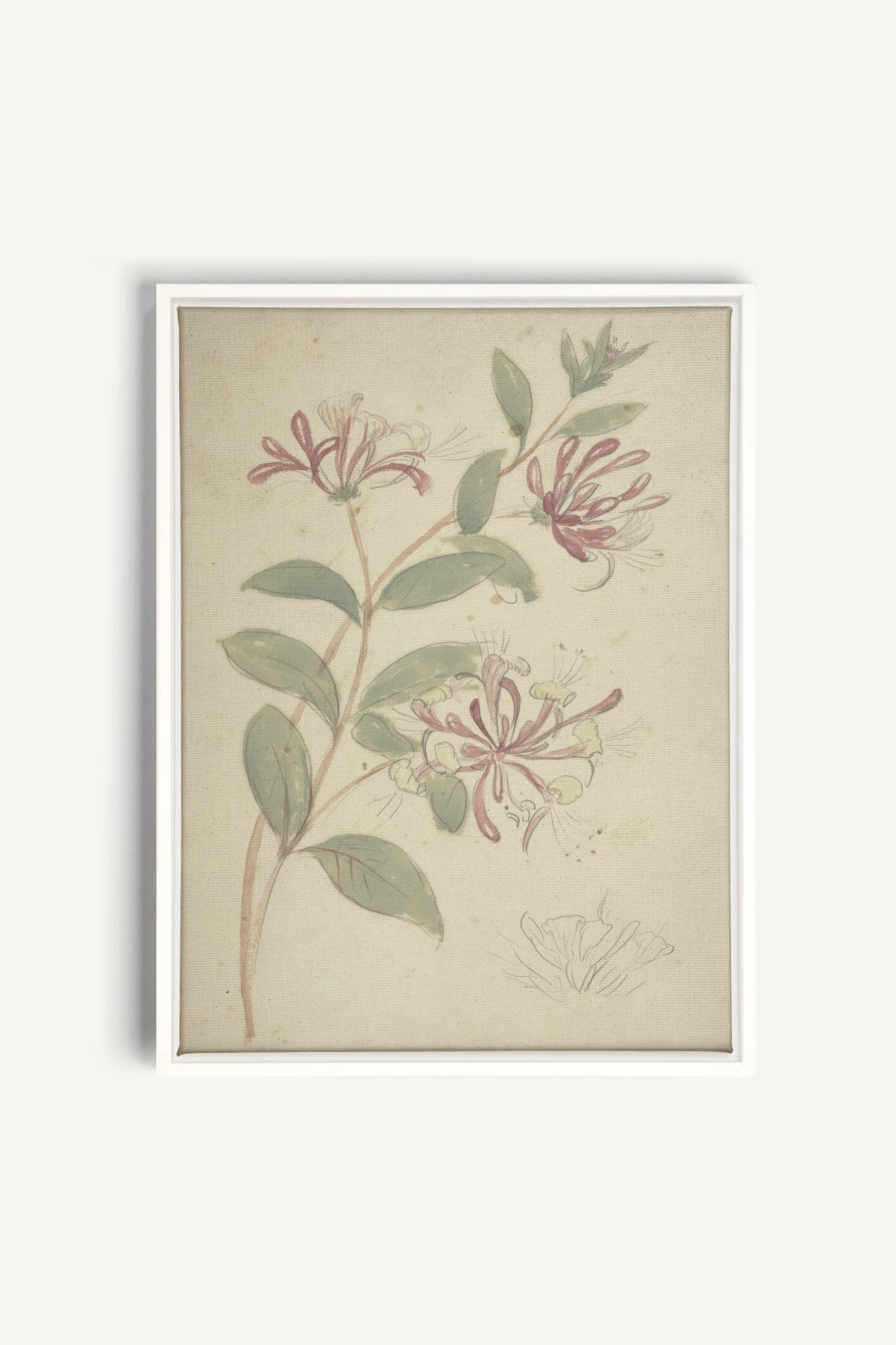 VINTAGE VINE, Oeuvre sur toile étirée, encadré Blanc