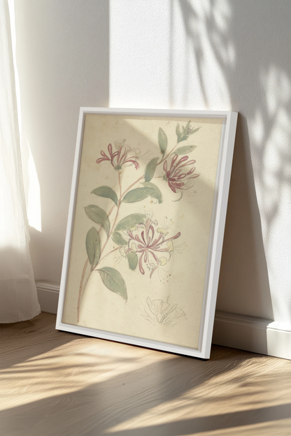 VINTAGE VINE, Oeuvre sur toile étirée, encadré Blanc