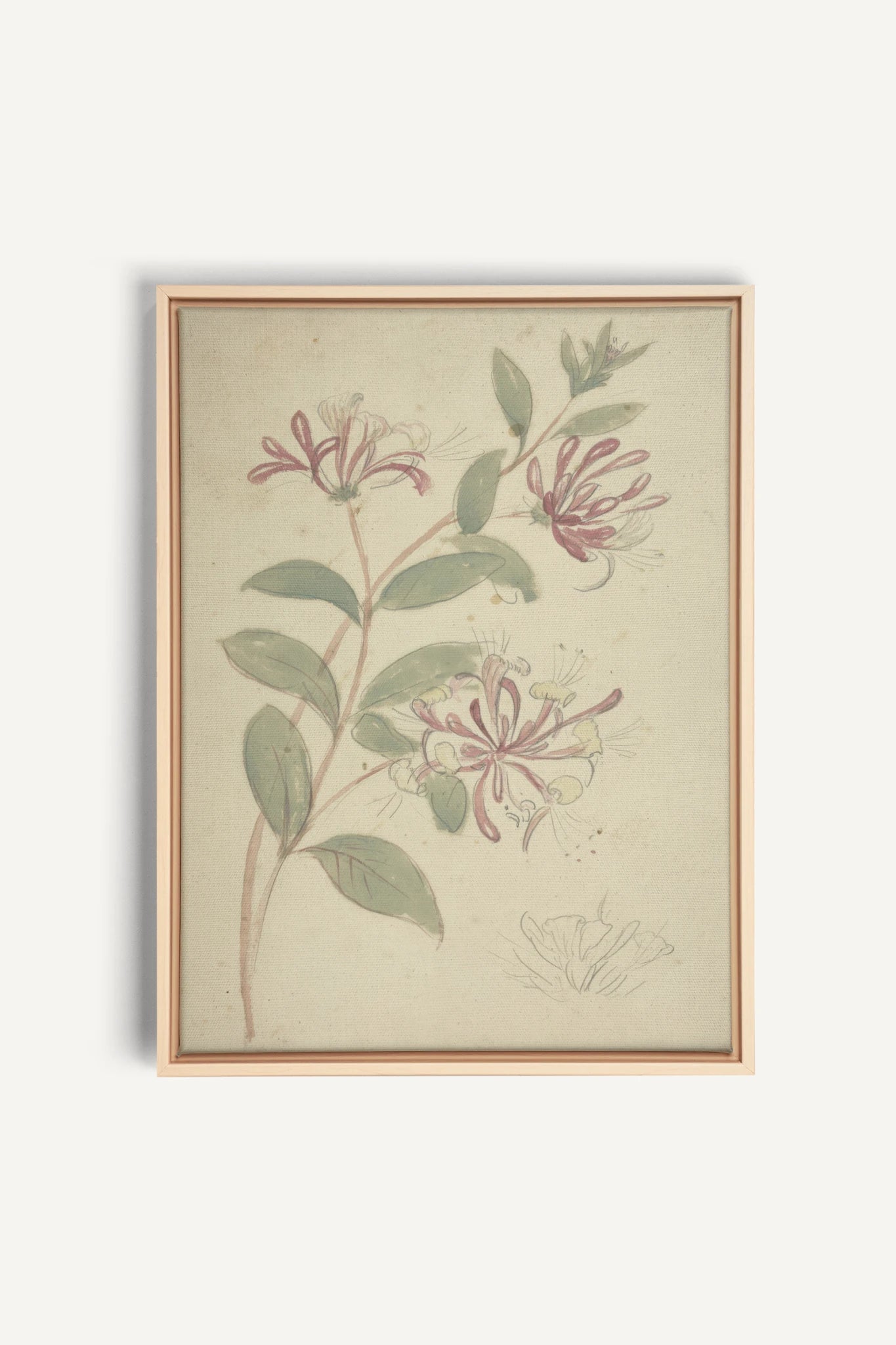 VINTAGE VINE, Work on stretched canvas, framed Naturel Clair