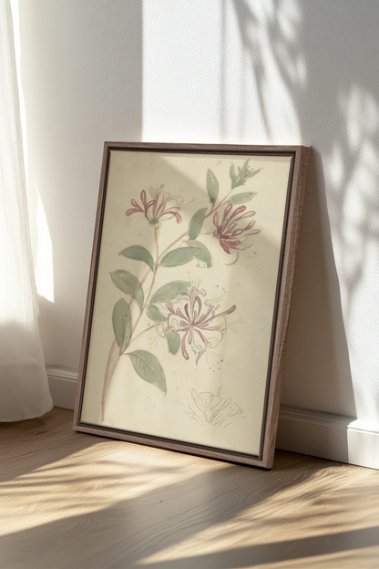 VINTAGE VINE, Oeuvre sur toile étirée, encadré Brun Chêne