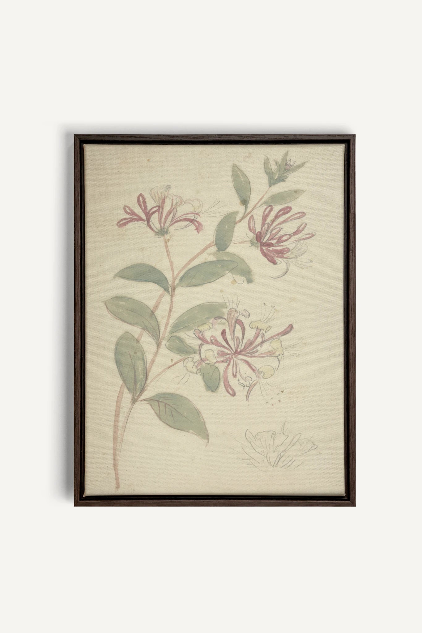 VINTAGE VINE, Oeuvre sur toile étirée, encadré Brun Noyer