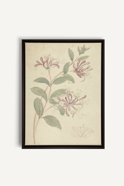 VINTAGE VINE, Oeuvre sur toile étirée, encadré Noir