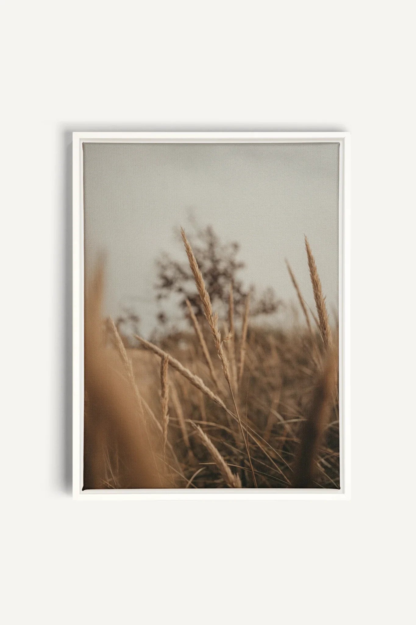 OLEKA CANVAS - WHEAT, Oeuvre sur toile étirée, encadré Blanc