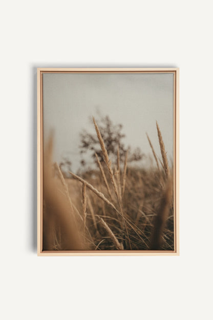 WHEAT, Oeuvre sur toile étirée, encadré Naturel Clair