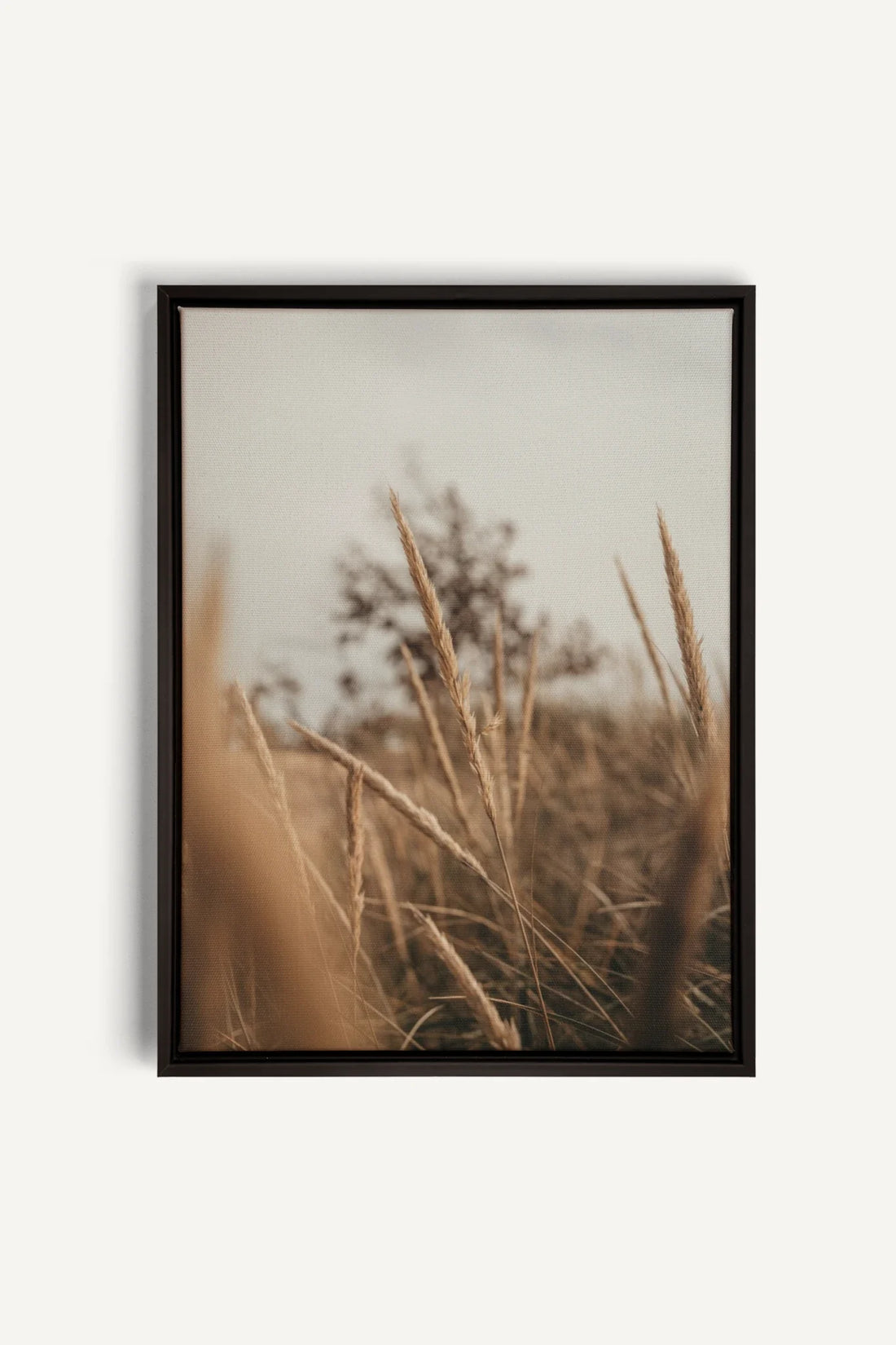 OLEKA CANVAS - WHEAT, Oeuvre sur toile étirée, encadré Noir
