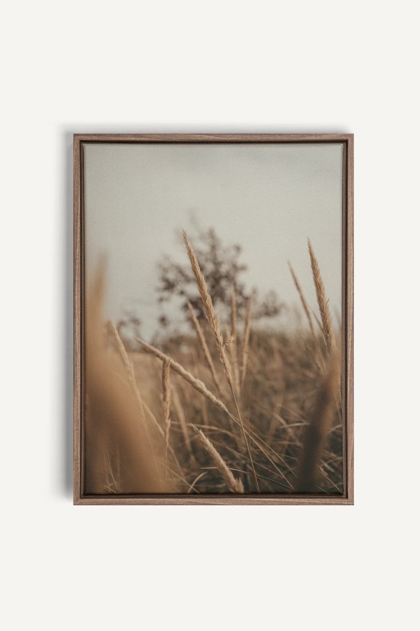 OLEKA CANVAS - WHEAT, Oeuvre sur toile étirée, encadré Brun Chêne