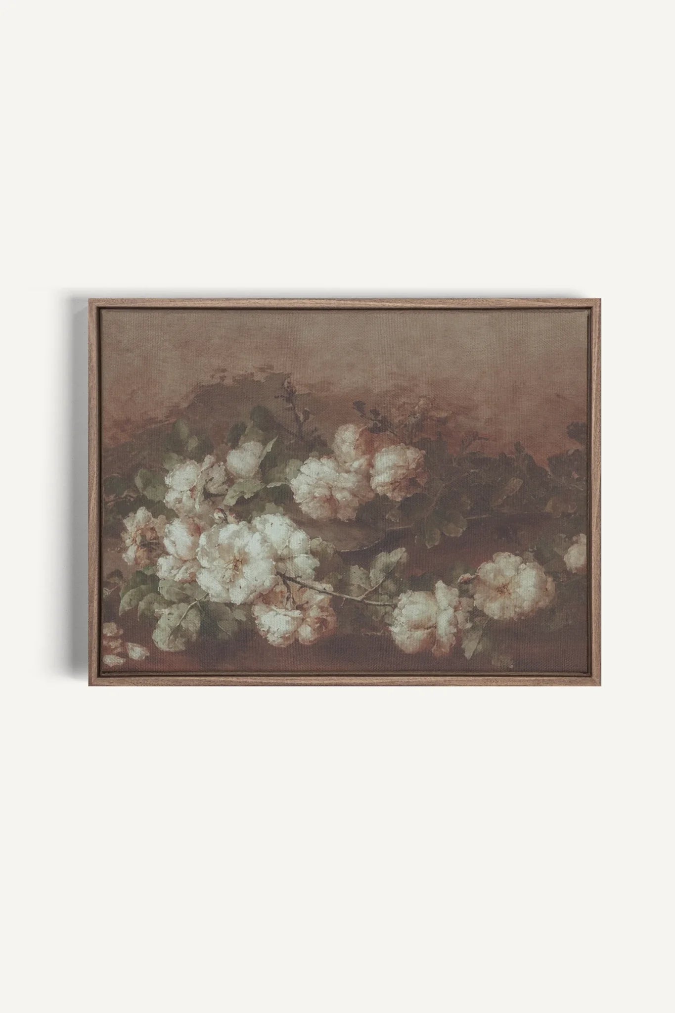 OLEKA CANVAS - WHITE PEONY, Oeuvre sur toile étirée, encadré Brun Chêne